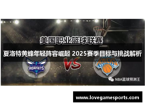 夏洛特黄蜂年轻阵容崛起 2025赛季目标与挑战解析